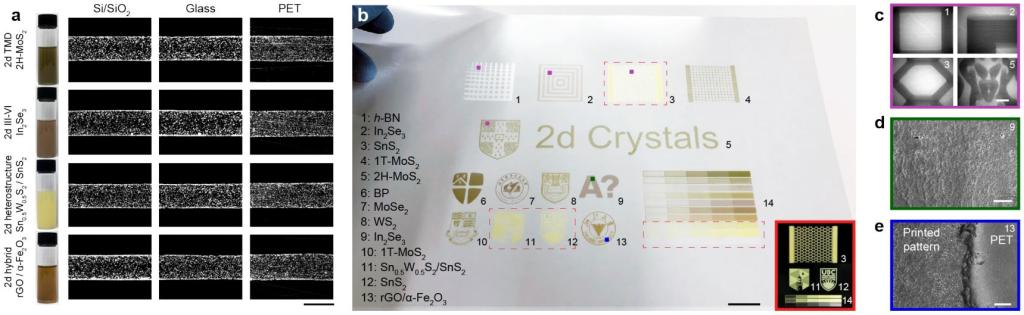 图2. 喷墨打印制备的二维晶体。